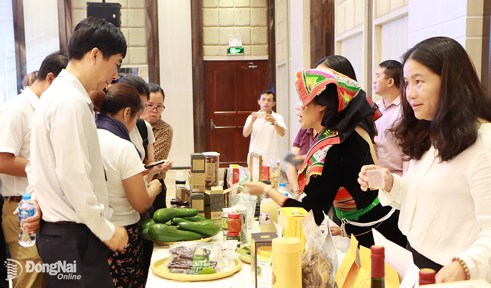 Doanh nghiệp, hợp tác xã giao thương tìm cơ hội