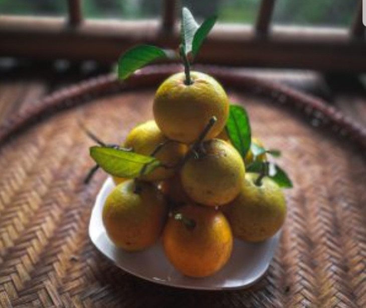 Hợp tác xã 3T Farm, mô hình kinh tế nông nghiệp tiêu biểu ở huyện Cao Phong, tỉnh Hòa Bình