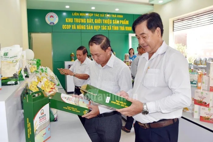 Hợp tác xã và doanh nghiệp 'đồng hành' cùng phát triển
