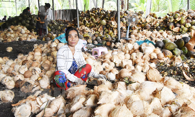 Bước chuyển trong phát triển kinh tế tập thể