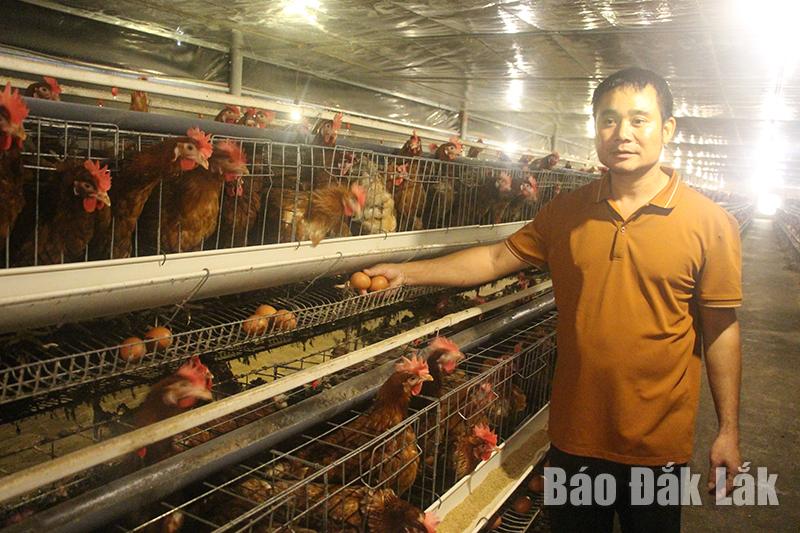 Phát huy nội lực của hợp tác xã nông nghiệp