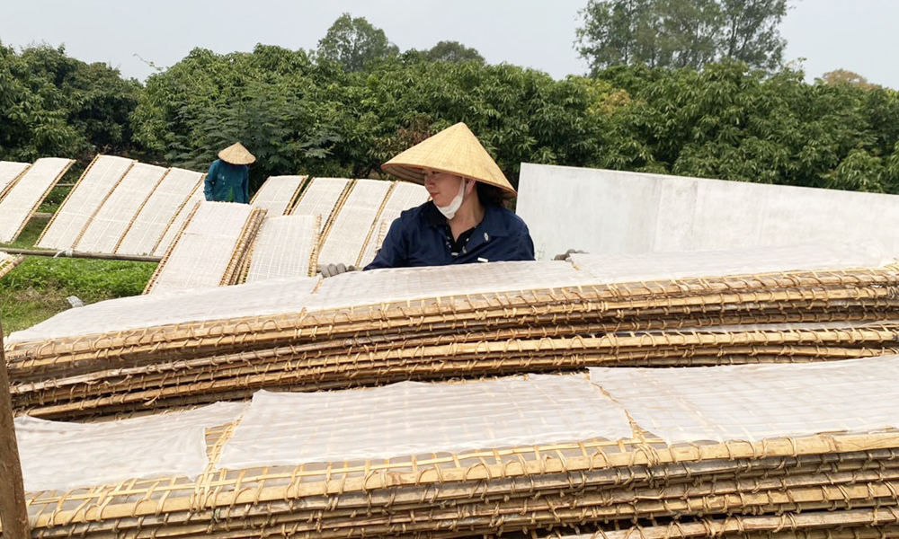 Những hợp tác xã "đầu tàu" trong phong trào thi đua