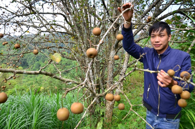 Gặp gỡ 'Trường khoai mật'