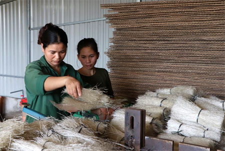 Trấn Yên chuẩn hóa, tiếp cận thị trường xuất khẩu các sản phẩm OCOP