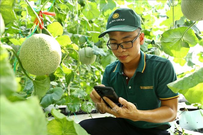 Đẩy mạnh ứng dụng khoa học công nghệ trong phát triển tam nông