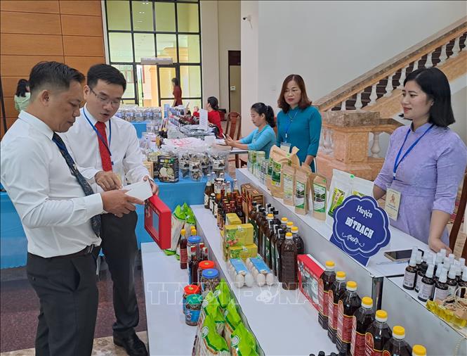 Quảng Bình: Khai trương gian hàng kết nối tiêu thụ sản phẩm OCOP