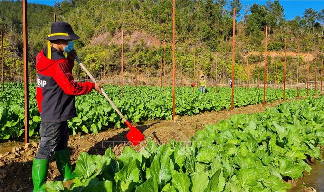 Hướng đi mới cho huyện vùng cao Mù Cang Chải