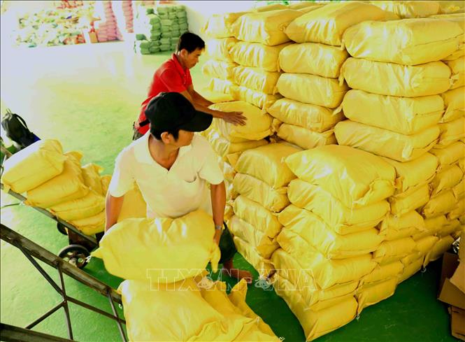 Mở rộng liên kết sản xuất cho hợp tác xã nông, lâm, thủy sản