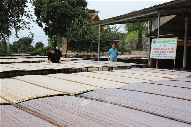 Bước chuyển tích cực bắt nhịp thị trường