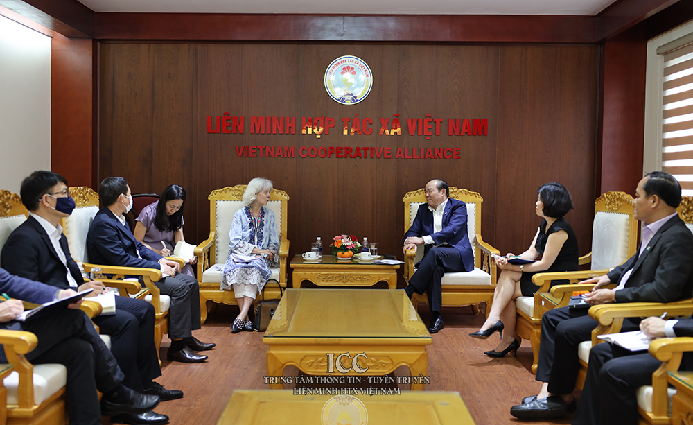 ILO đồng hành cùng VCA trong lĩnh vực việc làm, phát triển an sinh xã hội, quản trị lao động trong khu vực KTTT, HTX