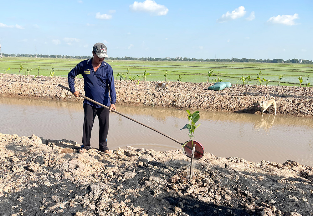 Đẩy mạnh cơ cấu lại ngành nông nghiệp