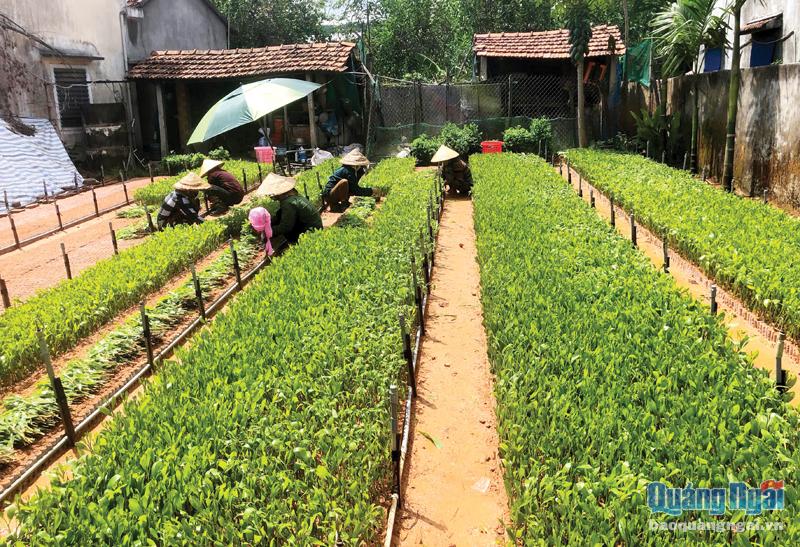 Loay hoay với phương thức sản xuất mới