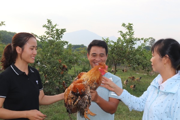 "Nhà nông trẻ xuất sắc"