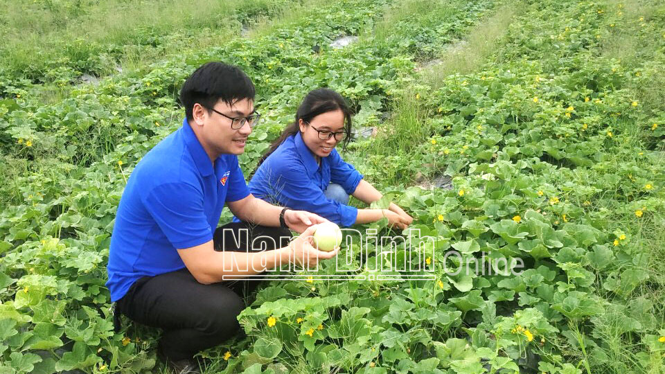 Vận động thanh niên nghiên cứu, ứng dụng khoa học và công nghệ