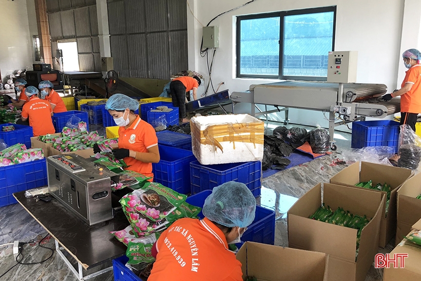 Các hợp tác xã sẵn sàng lượng hàng lớn trong dịp Tết