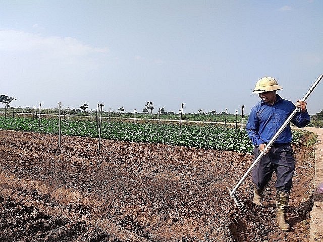Hà Nội: Phát triển nông nghiệp đô thị - sinh thái kết hợp du lịch là xu thế tất yếu
