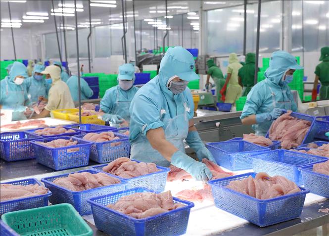 Nhật Bản là thị trường xuất khẩu thủy sản lớn nhất của Việt Nam 