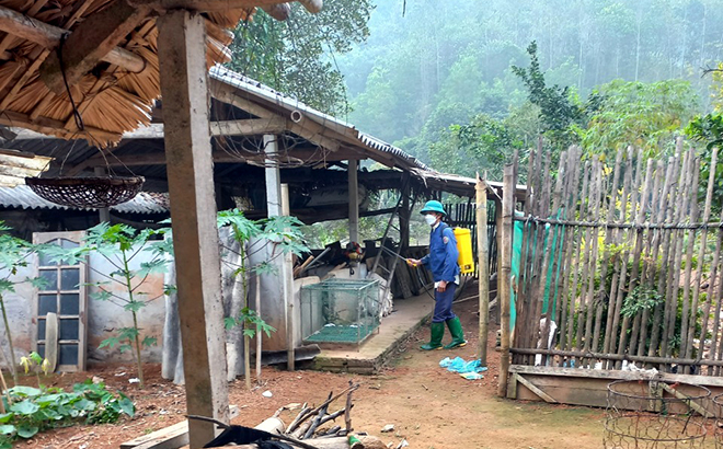Phú Thịnh quan tâm phòng chống dịch bệnh cho vật nuôi