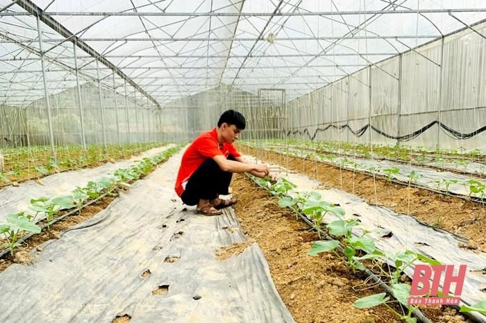 Lan tỏa những điển hình sản xuất giỏi ở khu vực miền núi