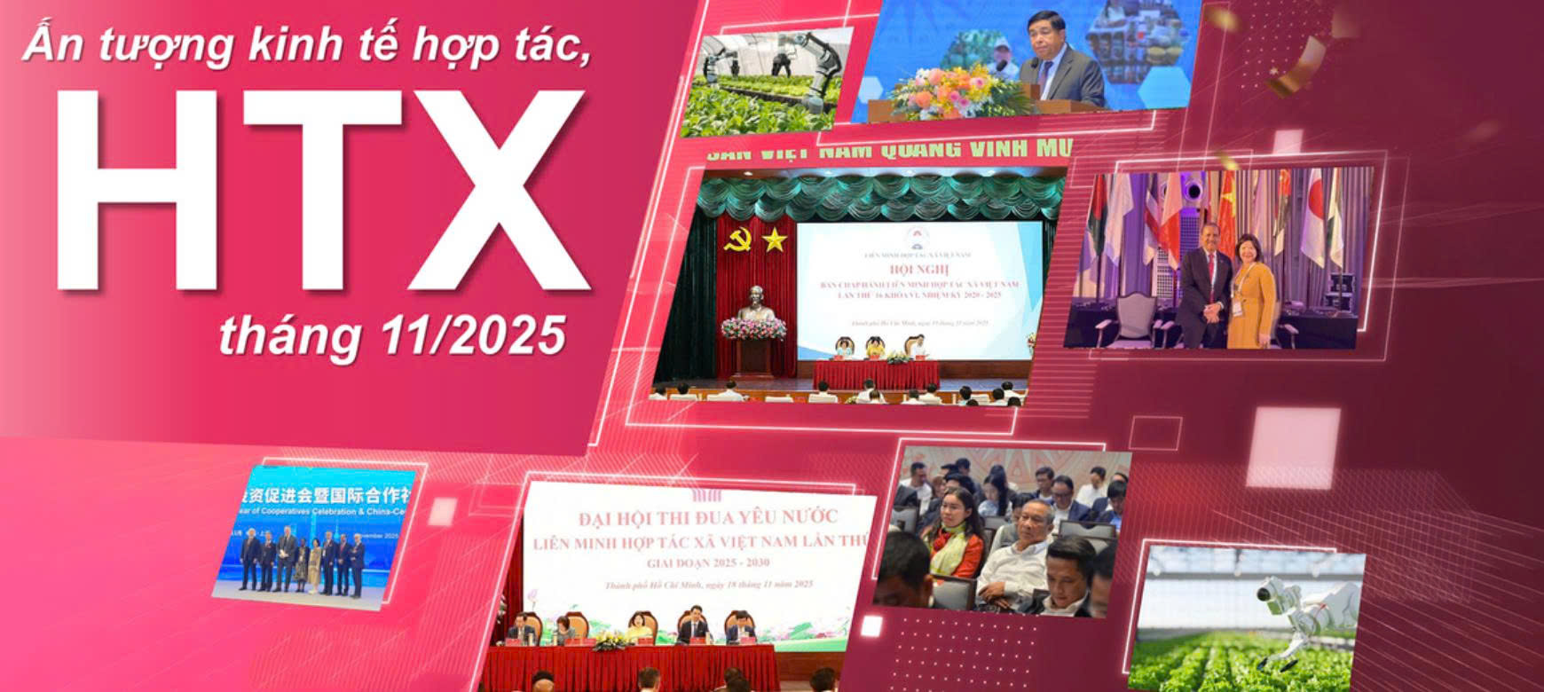 Kinh tế hợp tác, hợp tác xã tháng 11: Thúc đẩy chuỗi giá trị với doanh nghiệp, hướng ra 'biển lớn'
